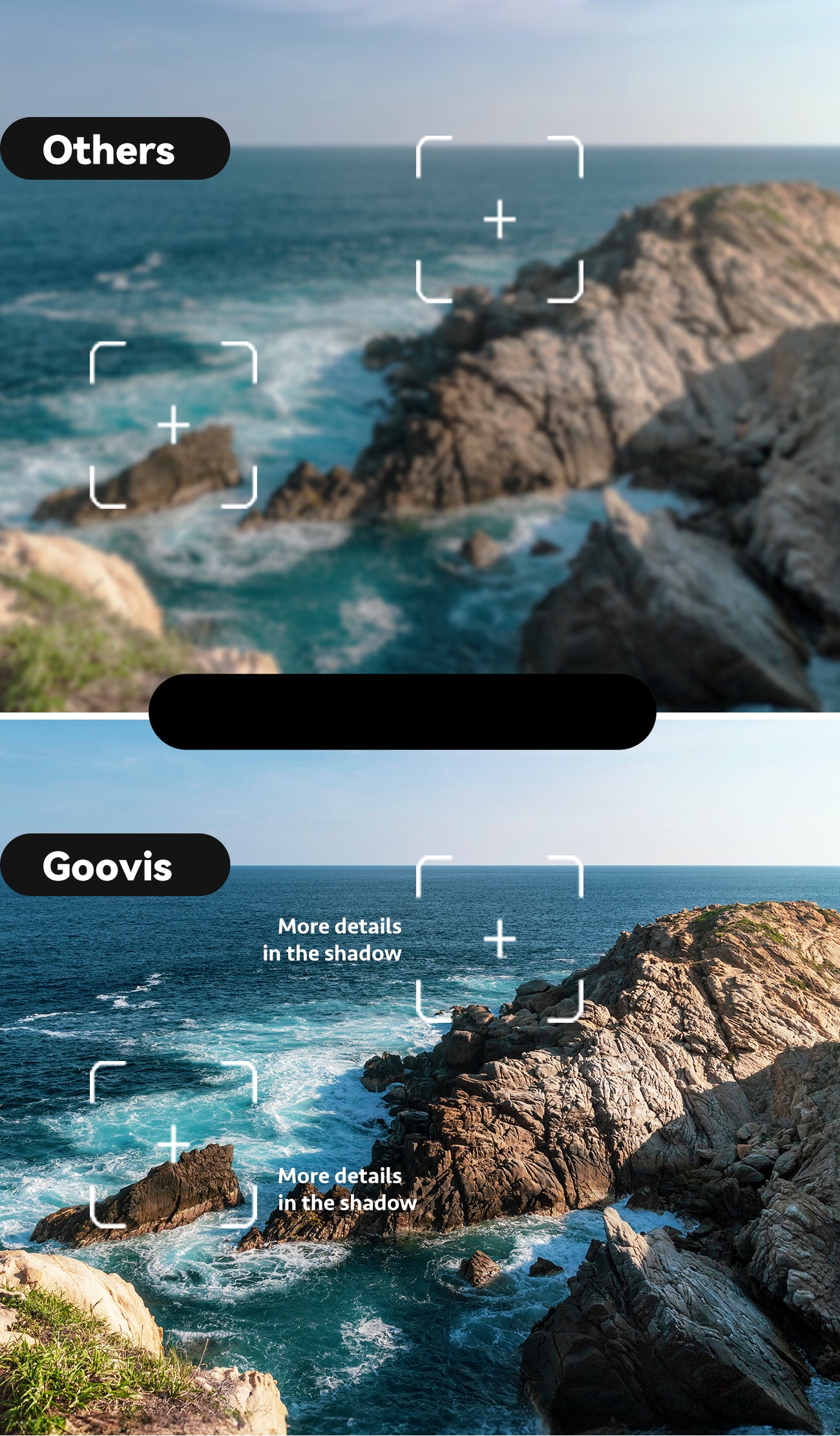 GOOVIS