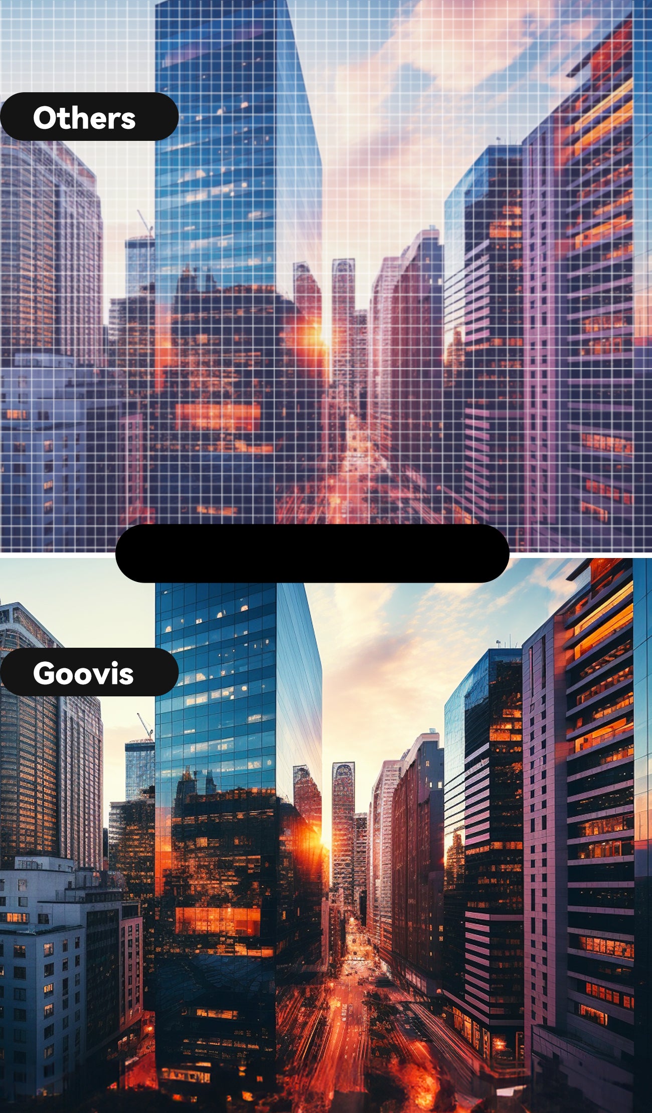 GOOVIS
