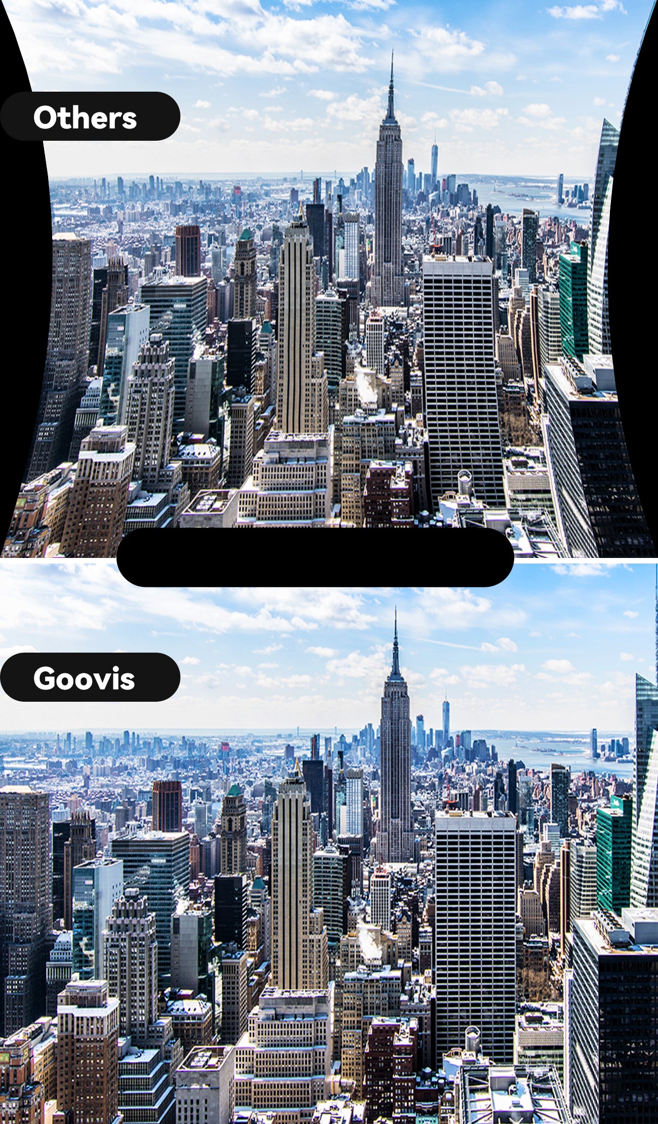 GOOVIS