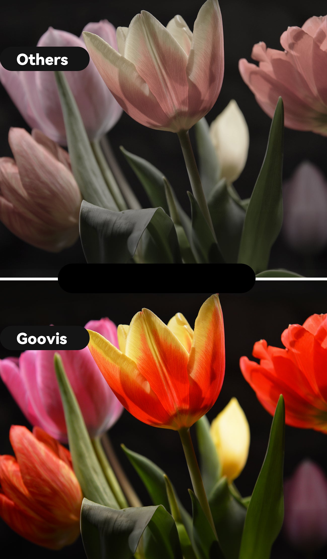 GOOVIS